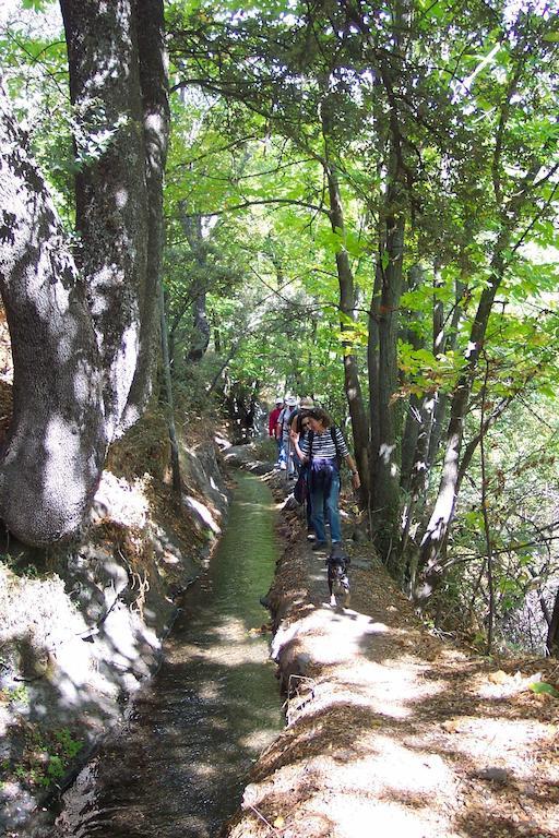 Alojamiento Rural Mirador Del Avellano Alpujarra De La Sierra Buitenkant foto