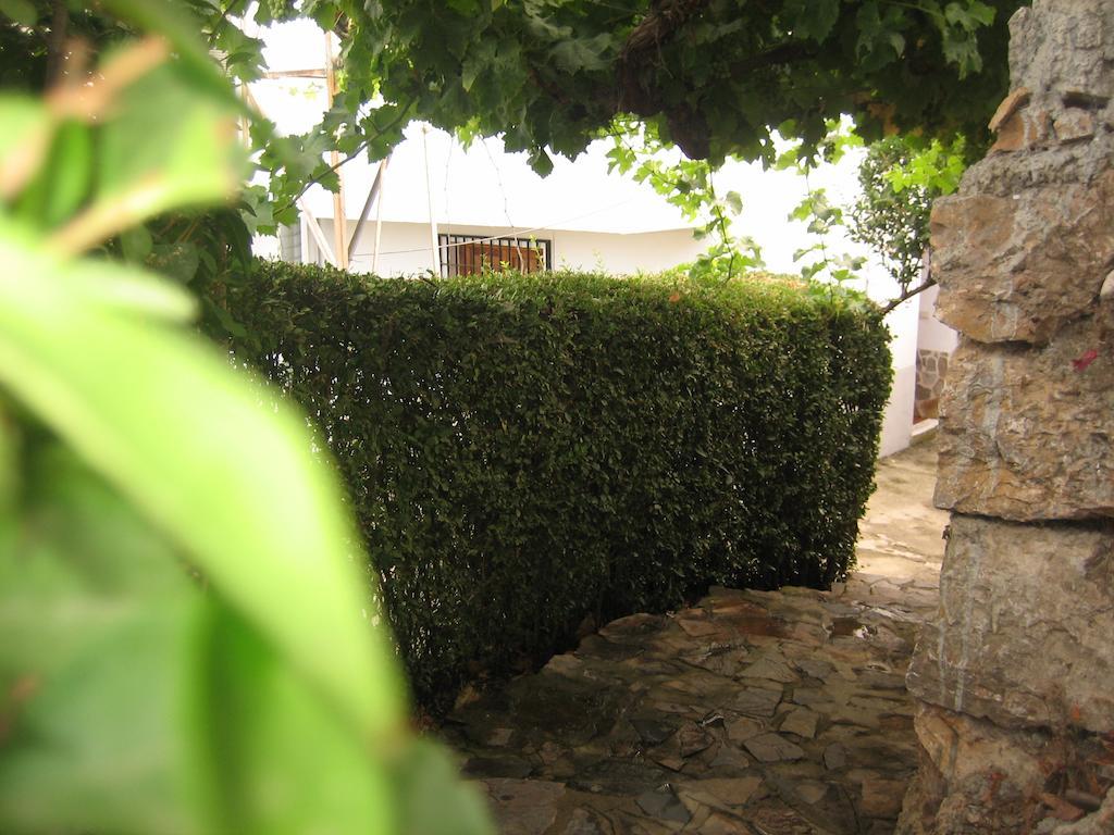 Alojamiento Rural Mirador Del Avellano Alpujarra De La Sierra Buitenkant foto